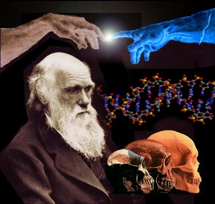 Resultado de imagen de la teoria de Darwin de la evolucion es rechazada cientÃ­ficamente
